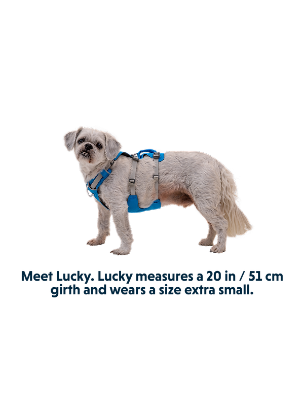 RUFFWEAR Flagline Dog Harness - Basalt Grey Image 14