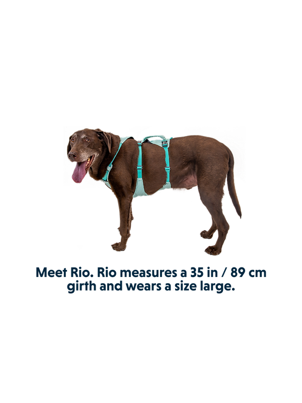 RUFFWEAR Flagline Dog Harness - Basalt Grey Image 17