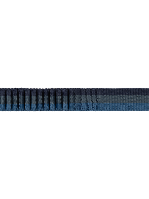 RUFFWEAR Roamer Bungee Dog Lead (Large) - Orion Blue Image 2