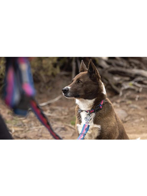 RUFFWEAR Crag EX Adjustable Dog Lead - Alpine Dusk Image 10