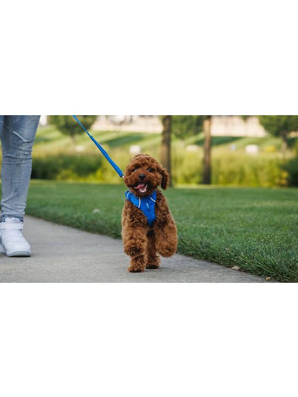 RUFFWEAR Front Range Dog Lead - Basalt Grey Image 8