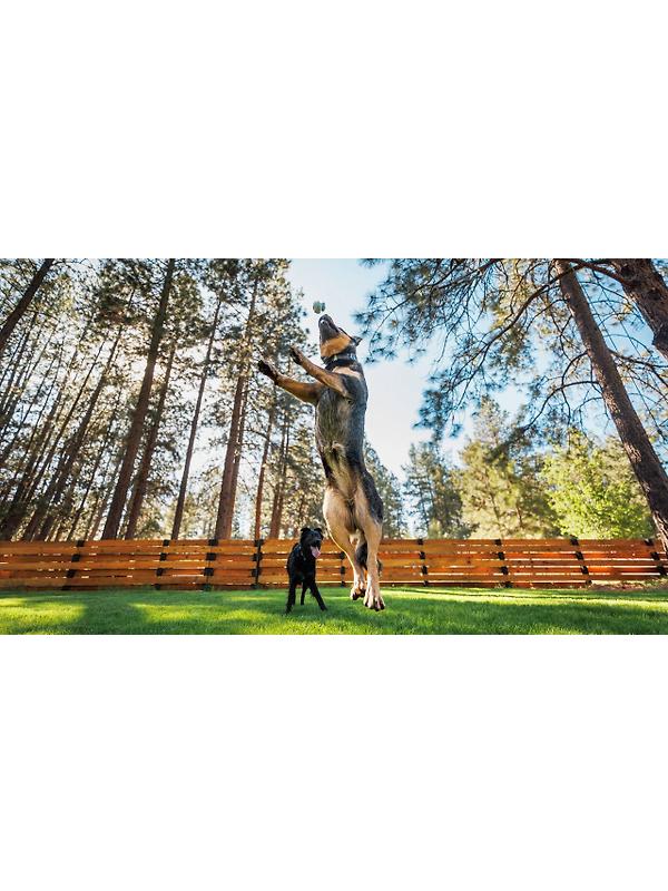 RUFFWEAR Toadstool Dog Toy - Moss Green Image 5