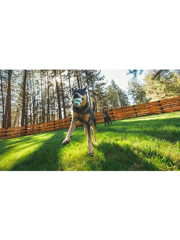 RUFFWEAR Toadstool Dog Toy - Moss Green Image 6