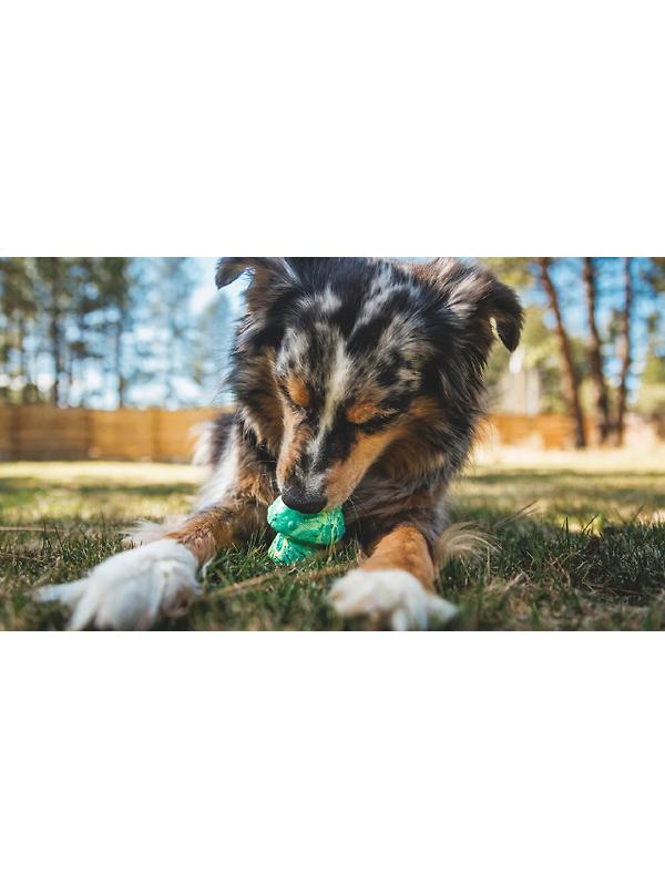 RUFFWEAR Toadstool Dog Toy - Moss Green Image 4