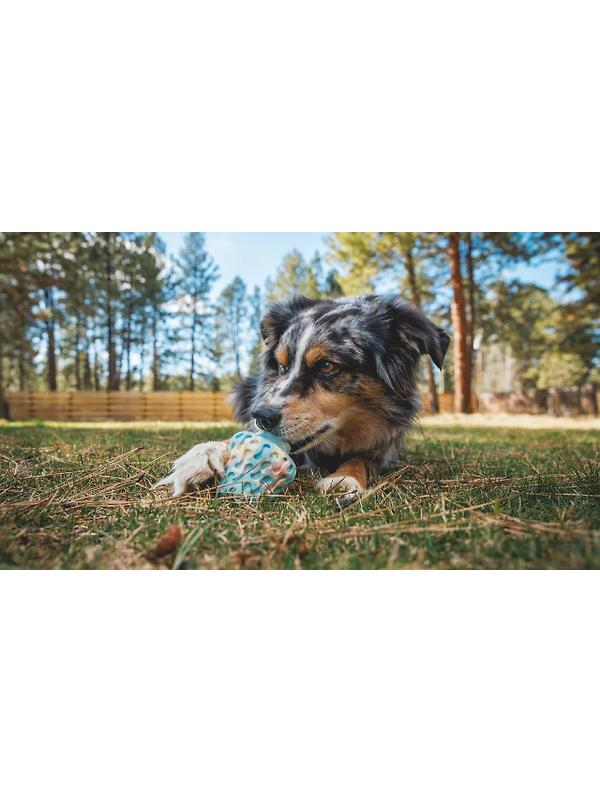 RUFFWEAR Morel Dog Toy - Grey Sky Image 4