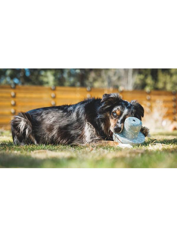 RUFFWEAR Porcini Dog Toy - Blue Prism Image 4