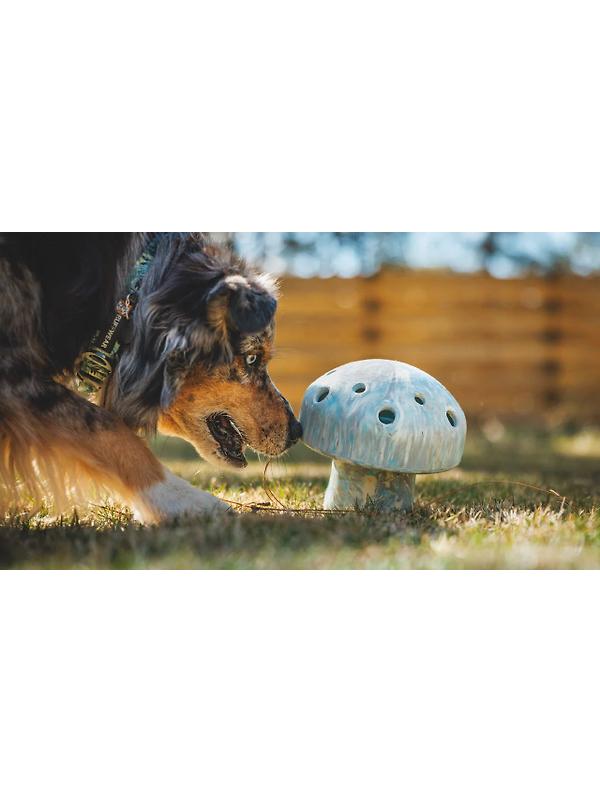 RUFFWEAR Porcini Dog Toy - Blue Prism Image 3