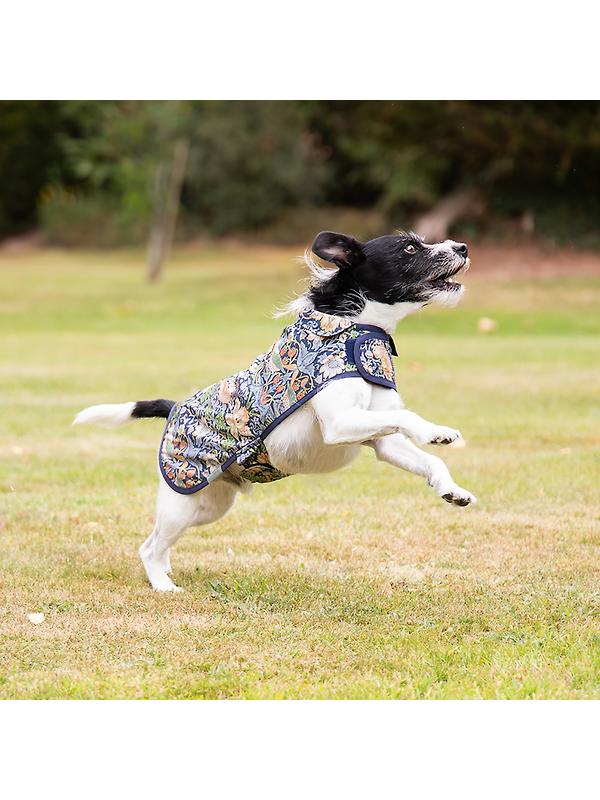 William Morris Reversible Dog Coat - Strawberry Thief Print Image 2