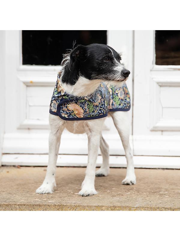 William Morris Reversible Dog Coat - Strawberry Thief Print Image 5