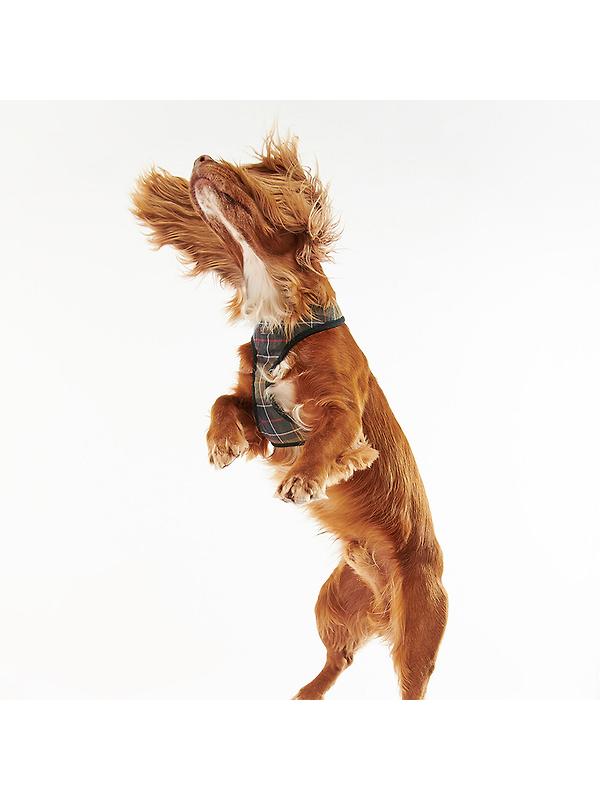 Barbour Tartan Dog Harness - Classic Tartan Image 2