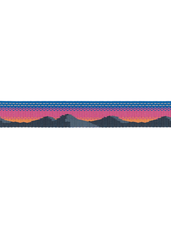 RUFFWEAR Crag Reflective Dog Collar - Alpine Dusk Image 3