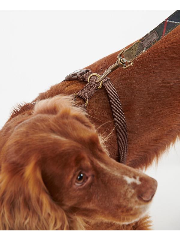Barbour Travel & Exercise Dog Harness - Classic Tartan Image 5