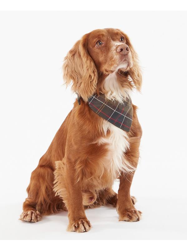 Barbour Tartan Dog Bandana - Classic Tartan Image 2