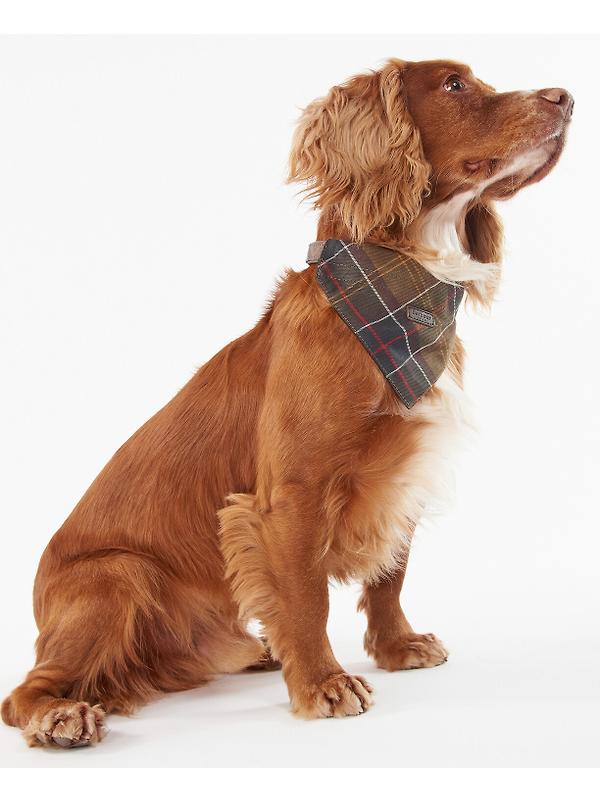Barbour Tartan Dog Bandana - Classic Tartan Image 3