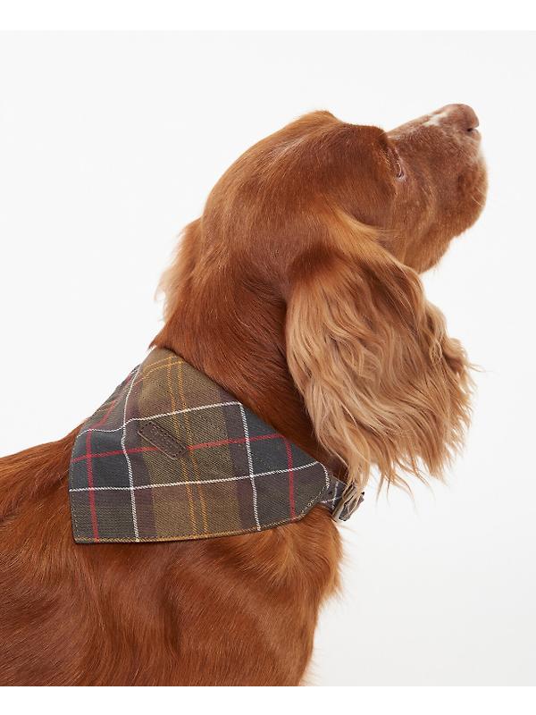 Barbour Tartan Dog Bandana - Classic Tartan Image 4