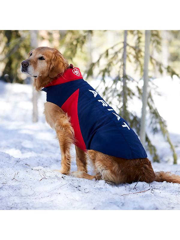 Ariat Team Softshell Dog Jacket - Navy Image 3