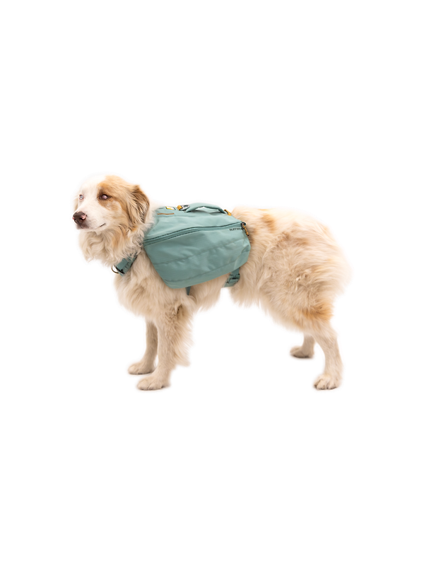 RUFFWEAR Front Range Day Pack - River Rock Green Image 6