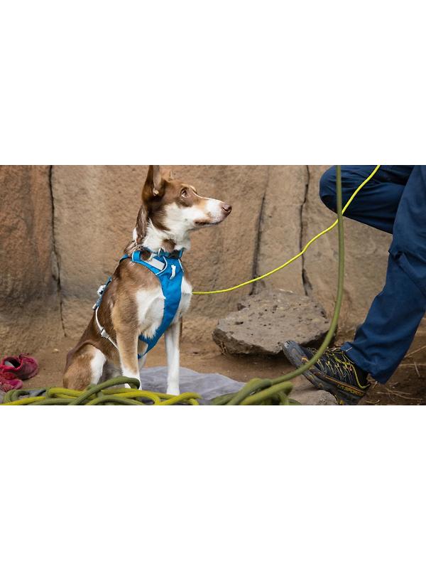 RUFFWEAR Flagline Dog Harness - Basalt Grey Image 9