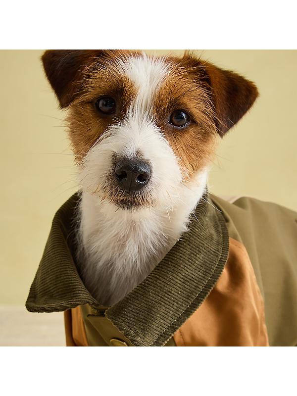 Joules Kennington Water Resistant Dog Coat - Brown & Khaki Image 7