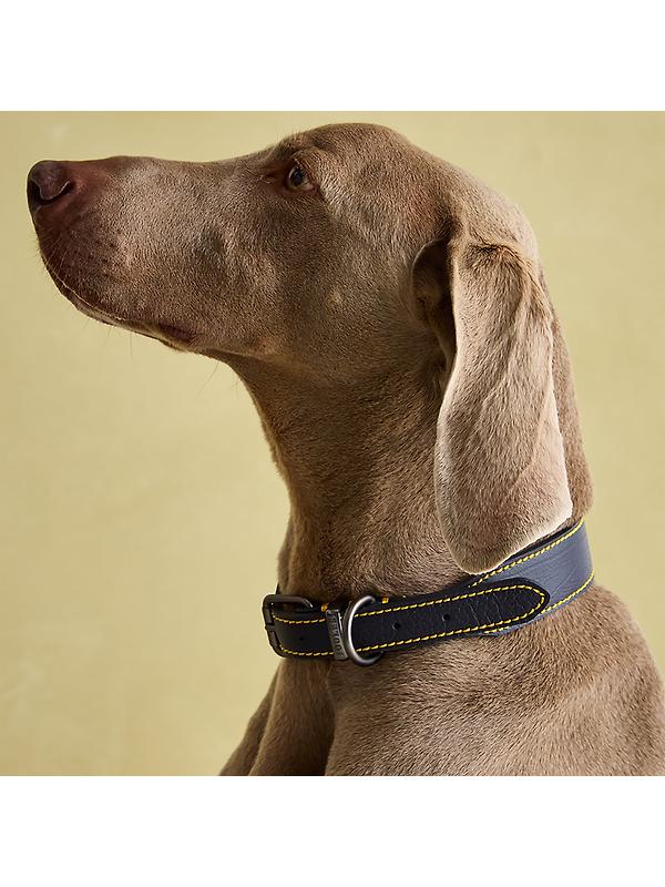 Joules Leather Dog Collar - Navy Image 2