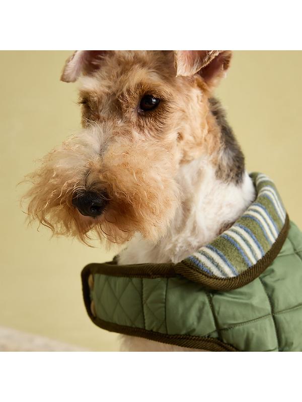 Joules Quilted Dog Coat - Khaki Image 12
