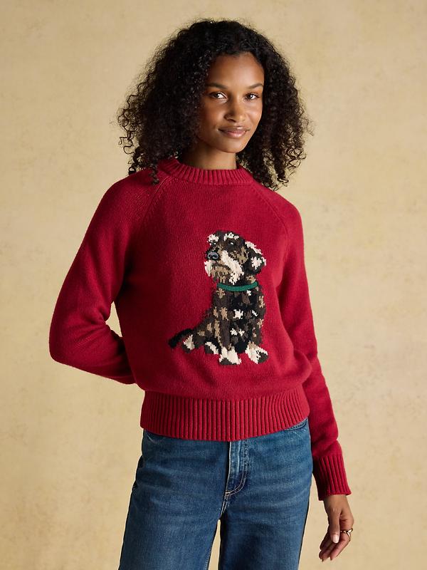 Joules Women's Dachshund Jumper - Red Image 4