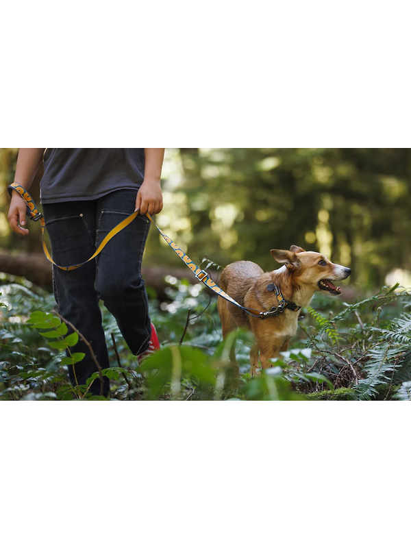 RUFFWEAR Crag EX Adjustable Dog Lead - Grassy Oxbow Image 12