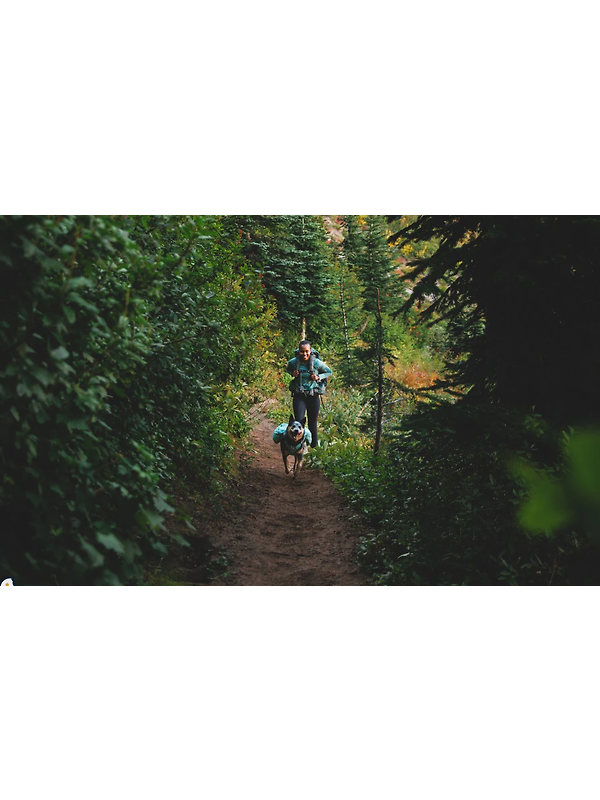 RUFFWEAR Front Range Day Pack - River Rock Green Image 11
