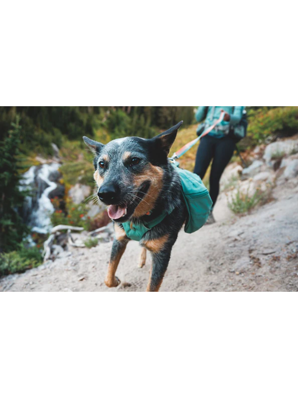 RUFFWEAR Front Range Day Pack - River Rock Green Image 10