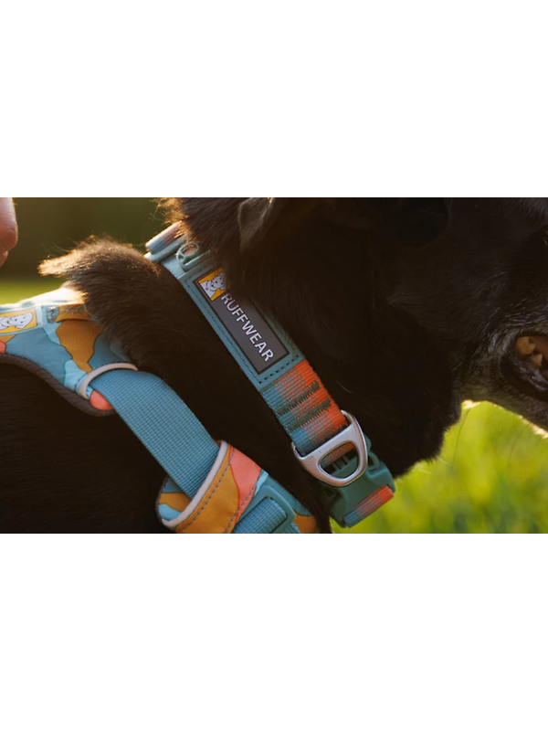 RUFFWEAR Front Range Dog Collar - Moonlight Fade Image 4