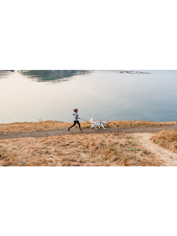 RUFFWEAR Front Range Dog Harness - Basalt Grey Image 15