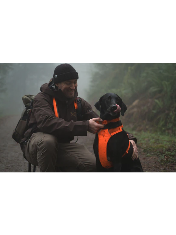 RUFFWEAR Front Range Dog Harness - Coastal Mountains Image 13