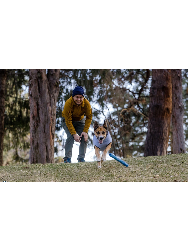 RUFFWEAR Gnawt-a-Stick - Lichen Green Image 7
