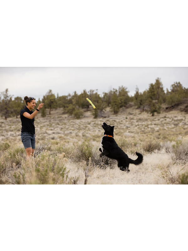 RUFFWEAR Gnawt-a-Stick - Lichen Green Image 9