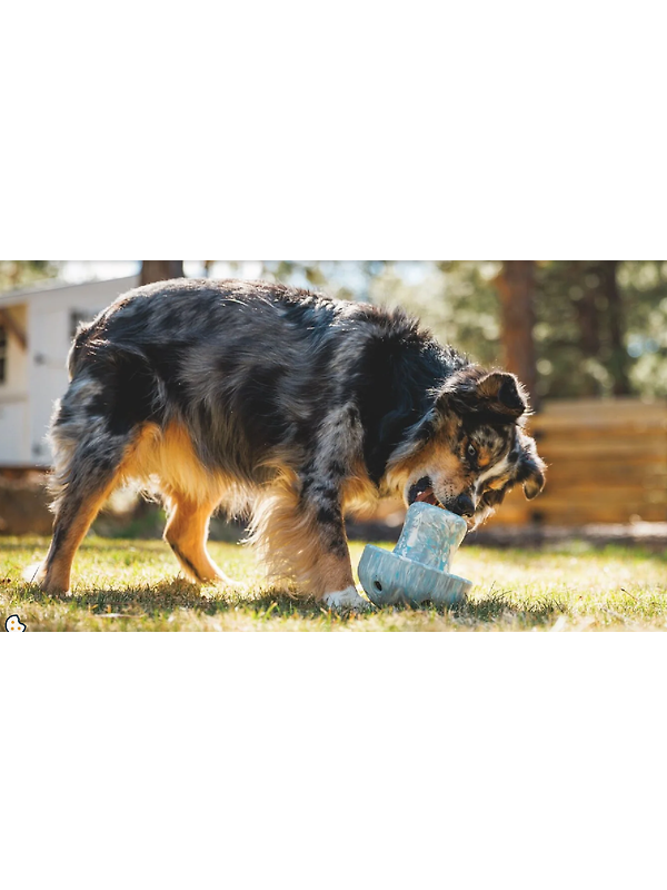 RUFFWEAR Porcini Dog Toy - Blue Prism Image 5