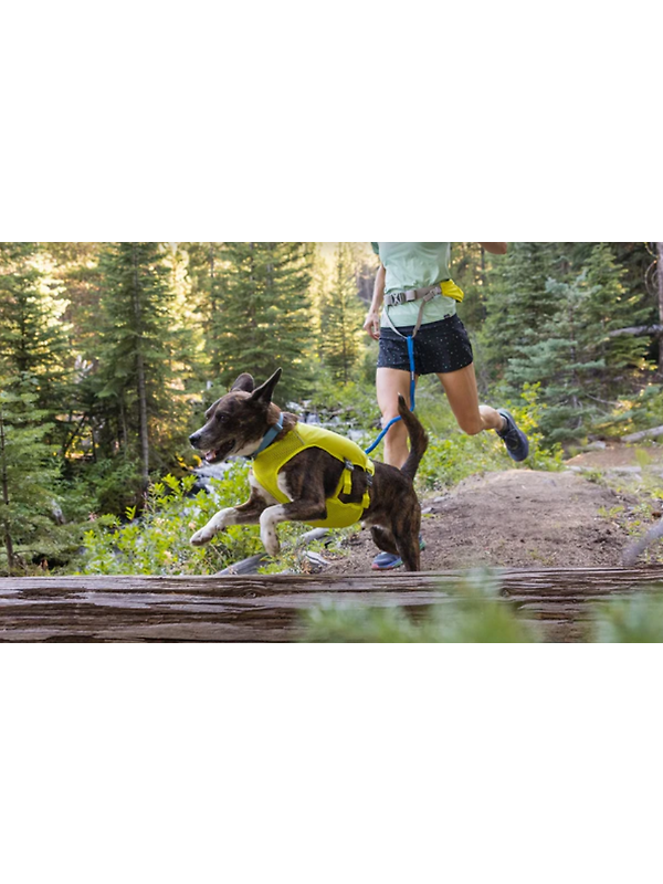 RUFFWEAR Trail Runner Running Belt (Small/Medium) Blue Pool Image 9
