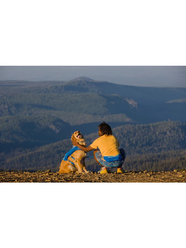 RUFFWEAR Trail Runner Running Belt (Small/Medium) Blue Pool Image 10