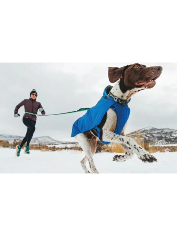 RUFFWEAR Vert™ Dog Jacket - Mineral Yellow Image 10