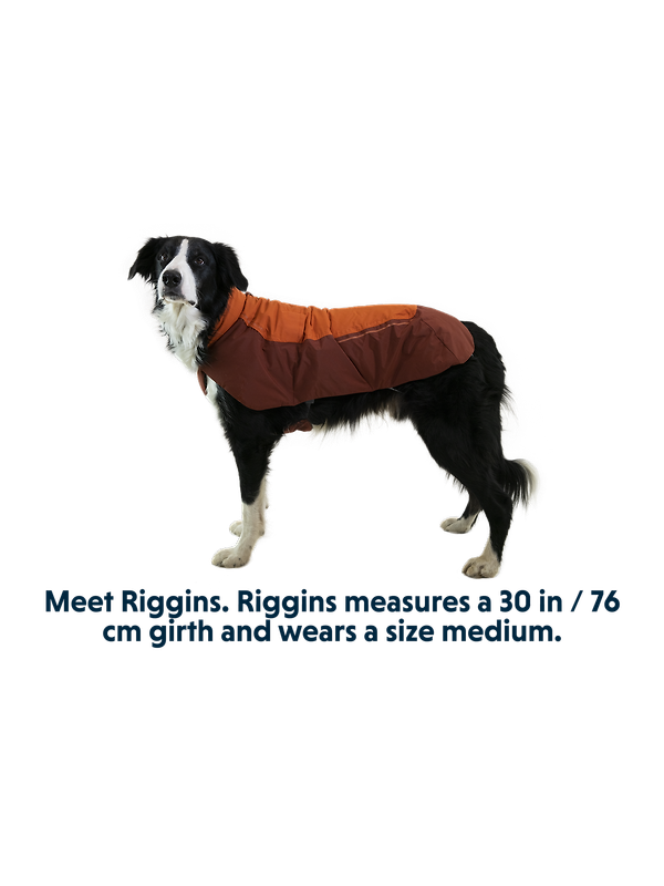 RUFFWEAR Vert™ Dog Jacket - Mineral Yellow Image 13