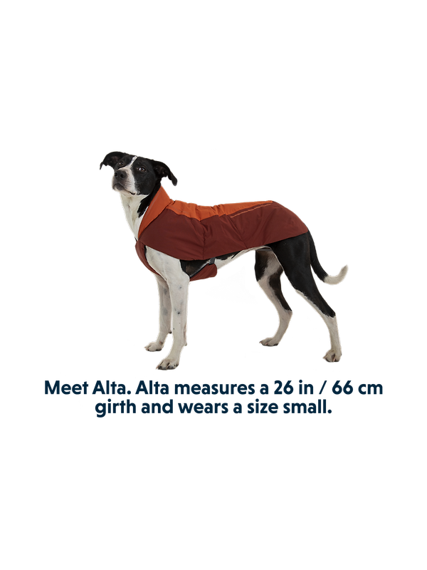 RUFFWEAR Vert™ Dog Jacket - Mineral Yellow Image 12