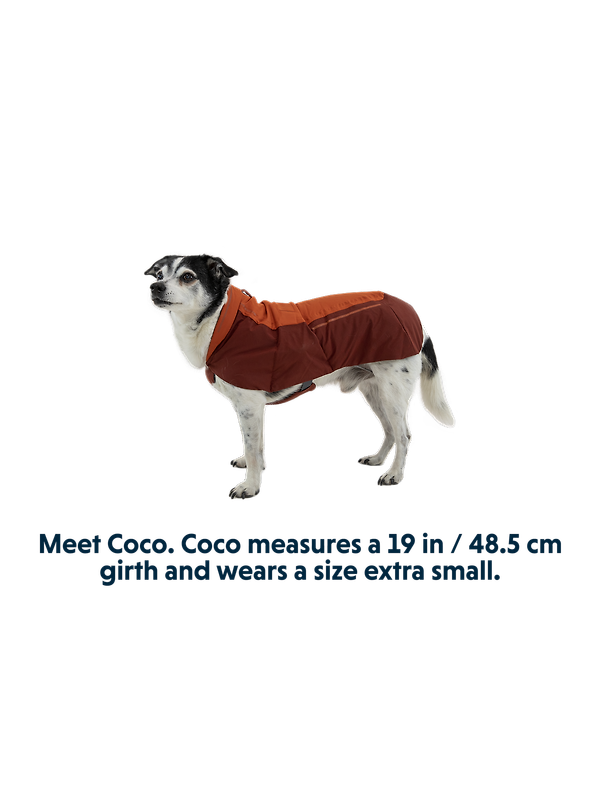 RUFFWEAR Vert™ Dog Jacket - Mineral Yellow Image 11