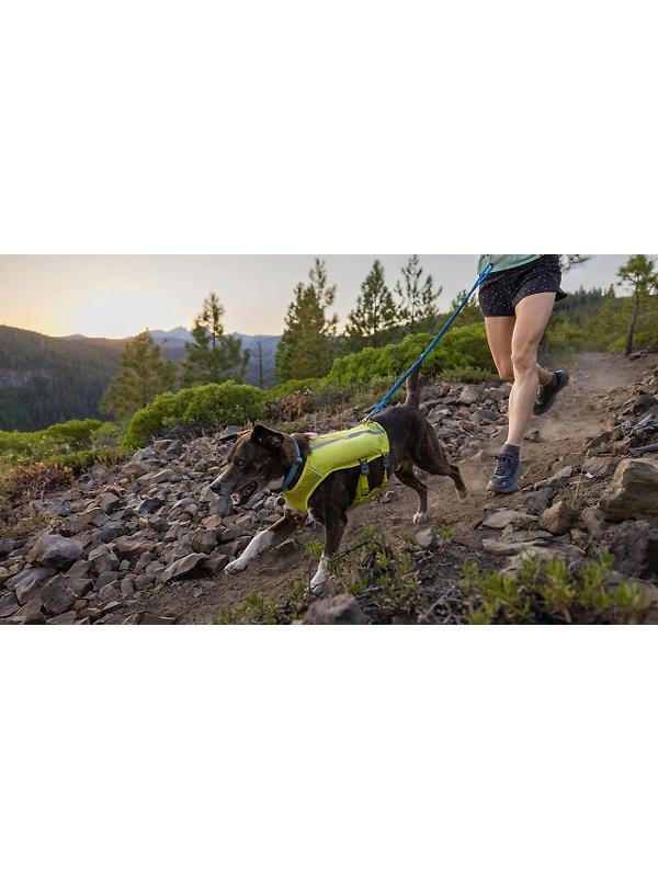 RUFFWEAR Trail Runner Dog Lead - Blue Pool Image 6
