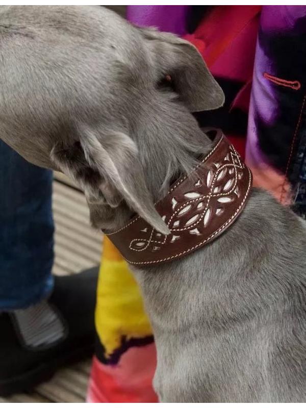 Penelope Chilvers Dog Collar - Bitter Chocolate Image 3