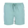 Barbour International Men's Large Logo Swim Shorts - Granite Green Colour thumbnail