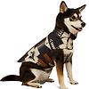 Ariat Team Softshell Dog Jacket - Thornstone Print Colour thumbnail