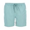 Barbour International Men's Large Logo Swim Shorts - Granite Green Colour thumbnail