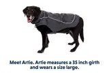 Thumbnail 14 of RUFFWEAR Overcoat Fuse Dog Jacket/Harness - Basalt Gray