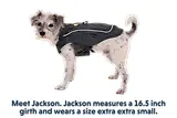 Thumbnail 12 of RUFFWEAR Overcoat Fuse Dog Jacket/Harness - Basalt Gray