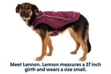 Thumbnail 15 of RUFFWEAR Overcoat Fuse Dog Jacket/Harness - Basalt Gray