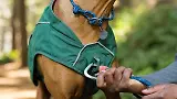 Thumbnail 10 of RUFFWEAR Overcoat Fuse Dog Jacket/Harness - Basalt Gray